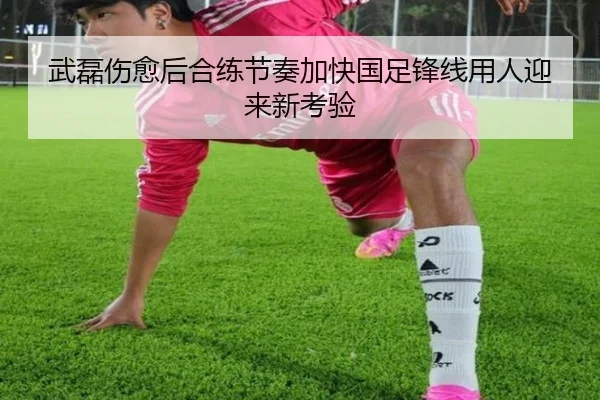 武磊伤愈后合练节奏加快国足锋线用人迎来新考验 - HaoBo